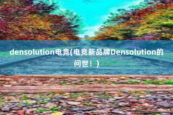 densolution电竞(电竞新品牌Densolution的问世！)