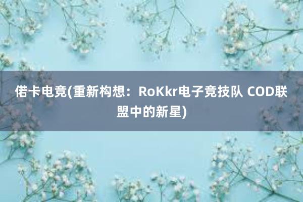 偌卡电竞(重新构想：RoKkr电子竞技队 COD联盟中的新星)