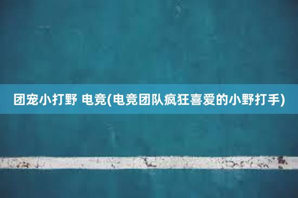 团宠小打野 电竞(电竞团队疯狂喜爱的小野打手)