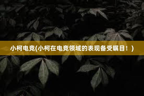 小柯电竞(小柯在电竞领域的表现备受瞩目！)