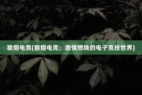 狼烟电竞(狼烟电竞：激情燃烧的电子竞技世界)