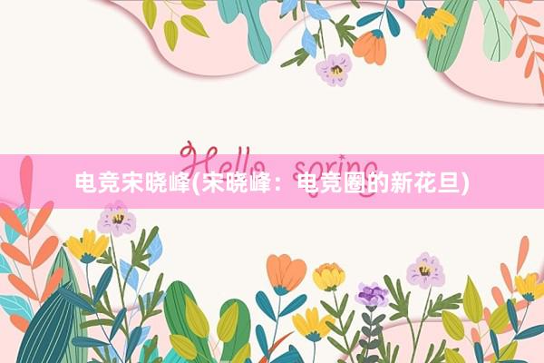 电竞宋晓峰(宋晓峰：电竞圈的新花旦)