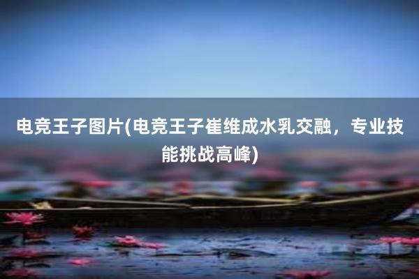 电竞王子图片(电竞王子崔维成水乳交融，专业技能挑战高峰)