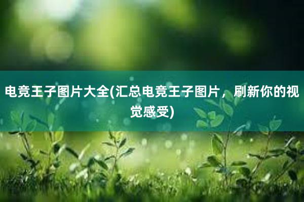 电竞王子图片大全(汇总电竞王子图片，刷新你的视觉感受)