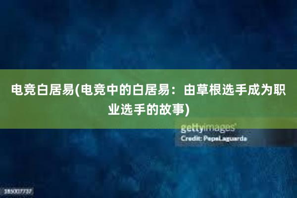 电竞白居易(电竞中的白居易：由草根选手成为职业选手的故事)