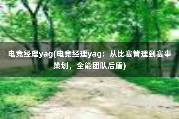 电竞经理yag(电竞经理yag：从比赛管理到赛事策划，全能团队后盾)