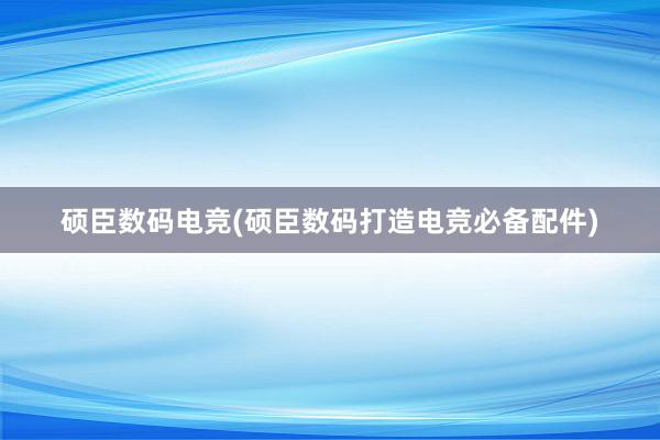 硕臣数码电竞(硕臣数码打造电竞必备配件)