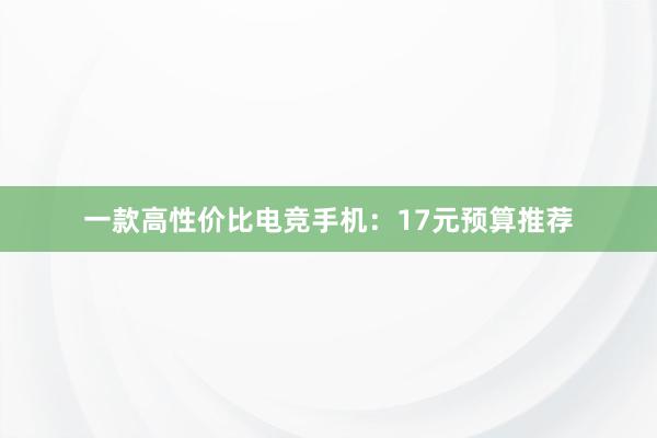 一款高性价比电竞手机：17元预算推荐