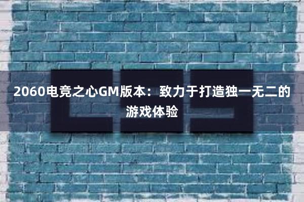 2060电竞之心GM版本：致力于打造独一无二的游戏体验