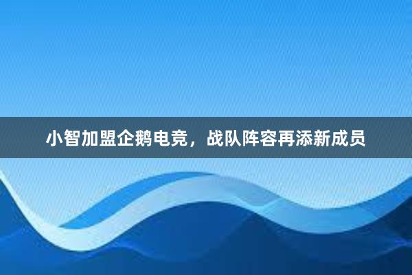 小智加盟企鹅电竞，战队阵容再添新成员