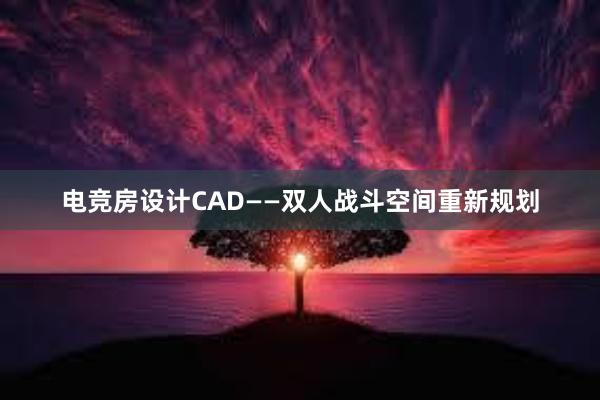 电竞房设计CAD——双人战斗空间重新规划