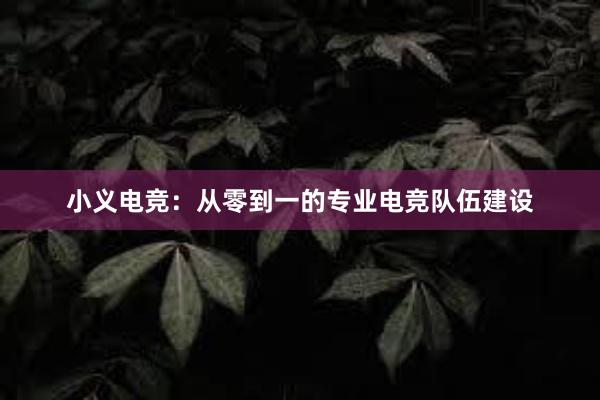 小义电竞：从零到一的专业电竞队伍建设