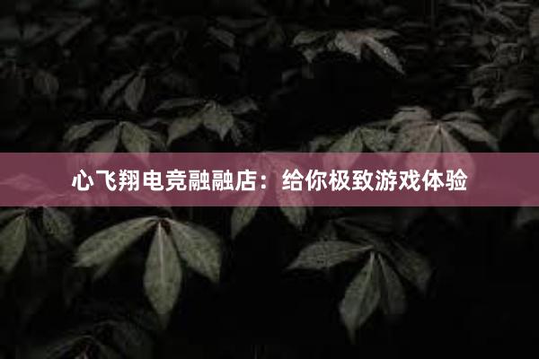 心飞翔电竞融融店：给你极致游戏体验