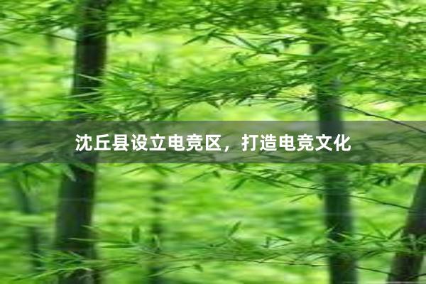 沈丘县设立电竞区，打造电竞文化