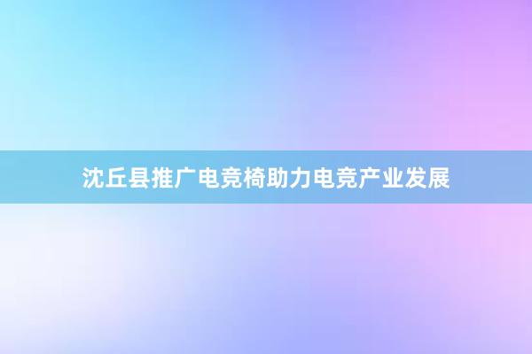 沈丘县推广电竞椅助力电竞产业发展