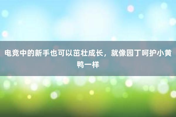 电竞中的新手也可以茁壮成长，就像园丁呵护小黄鸭一样